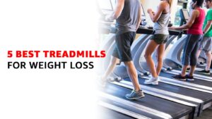 5 Best Treadmills for Weight Loss